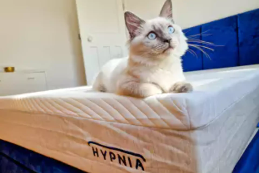 hypnia matelas et accessoires